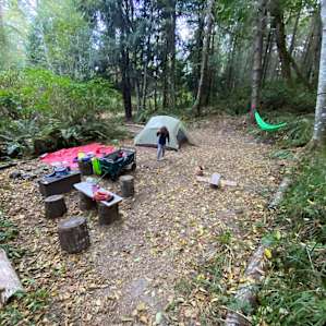 Carben Forest