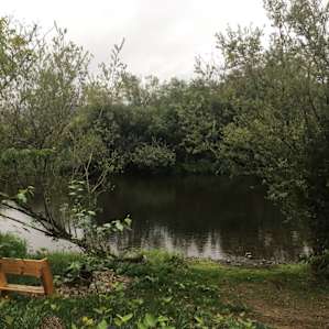 Next to tent a riverside bench and fire ring.