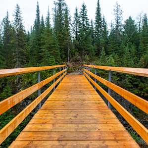A hand built bridge... Wow