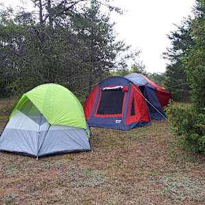 103 Acre Woods Marlborough Forest