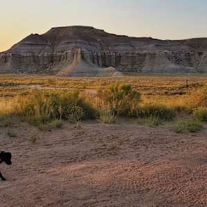 Painted desert