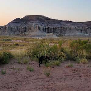 Painted desert