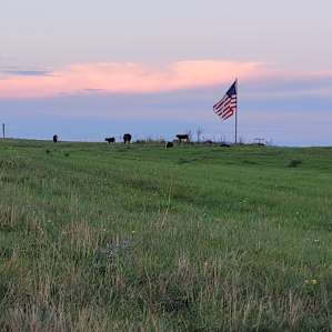 Farm Animal Sanctuary Retreat