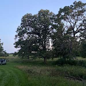 Oak Savanna Retreat
