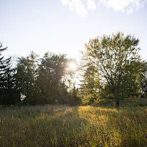 The treehouse is surrounded by 100 acres of land.