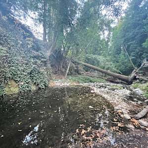 Bigfoot Basin