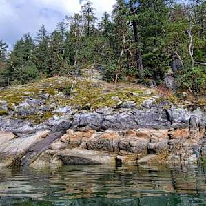 Sunshine Coast Blue Zone ~Campsite