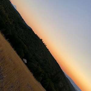 Columbia Gorge Yurt