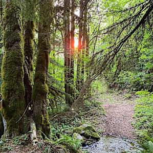 Crystal Creek Cabin