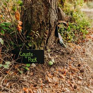 Easy to find campsites!