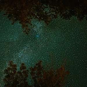 Treat yourself and go stargazing at night without needing to leave your site