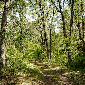 Quiet backyard RV site full hookup
