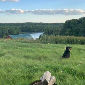 River to Ridge Farmstead