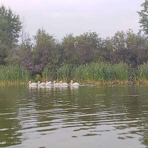 Lakefront Cabin