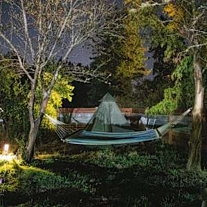 Trinidad Stump Camp