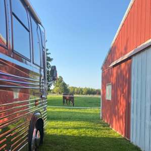 Loved seeing the horse from our bus. Excellent place to camp!