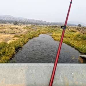 Peaceful fishing from the bridge.