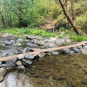 Plank bridge across the stream
