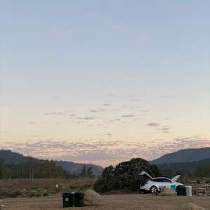 Site 4 by a tree