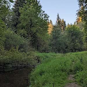 Nature Camp