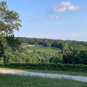 Terra Incognita Vineyard