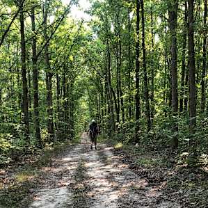 Beautiful trails
