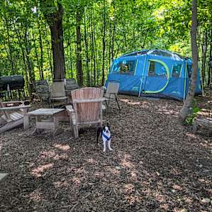 The Vineyard site can easily accommodate a VERY large tent (and two very small dogs).