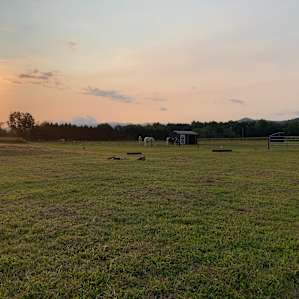 River Run Equestrian (RV's)
