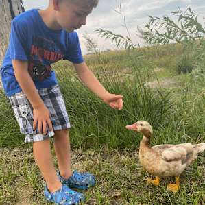 Cornelius the Duck was our buddy