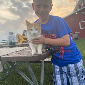 My sons favorite little kitty on the farm