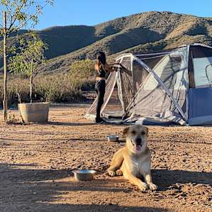 🟠MOUNTAINVIEW CAMP AREA
