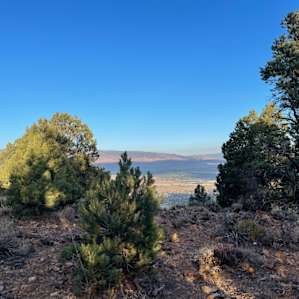Beautiful Desert Camping