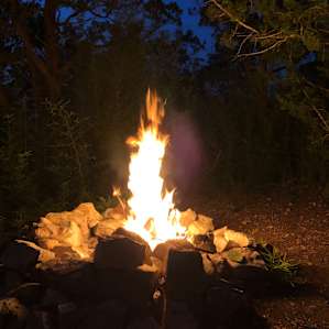 Woodland Magic