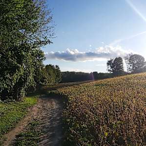 Main trail to the site