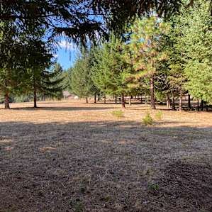 Whispering Winds Mountain Retreat