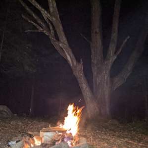 Site#3