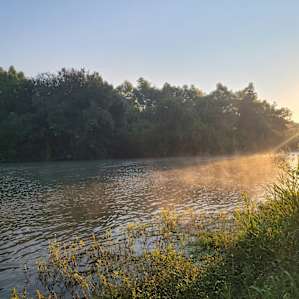 Fog rising off the river in the morning