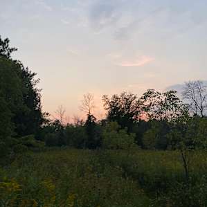 Kettle Heart Campsite