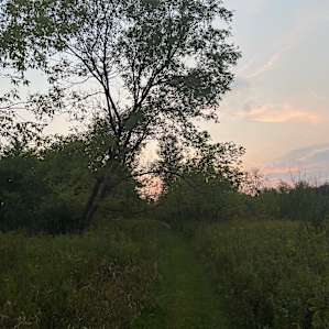 Kettle Heart Campsite