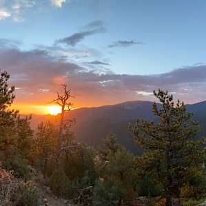 Laughing Valley Ranch Glamping