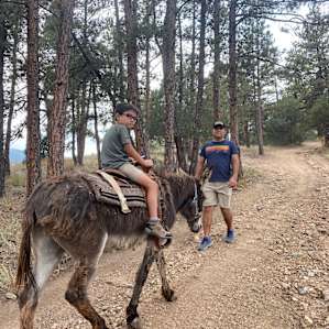 Laughing Valley Ranch Glamping