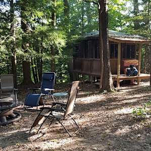 Private forest cedar cabin