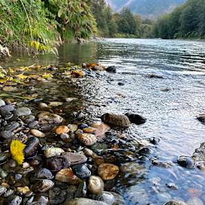 Skagit river camping.