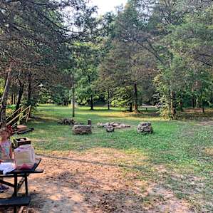 Communal fire pit. Some sites have individual fire pits.