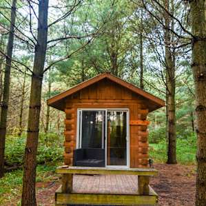 bunkie