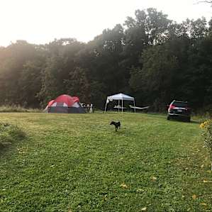 Sassy Fox Acres