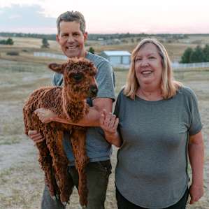Dave and Karen and one of their cutest baby alpacas!