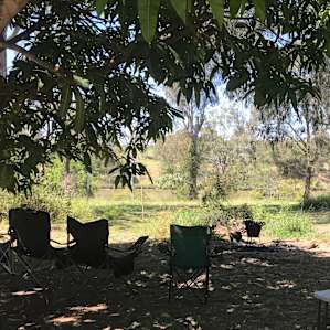 View from the camper towards the river