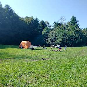 Spacious grounds with lots of privacy