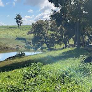Overlooking dam from elevated Bush camp